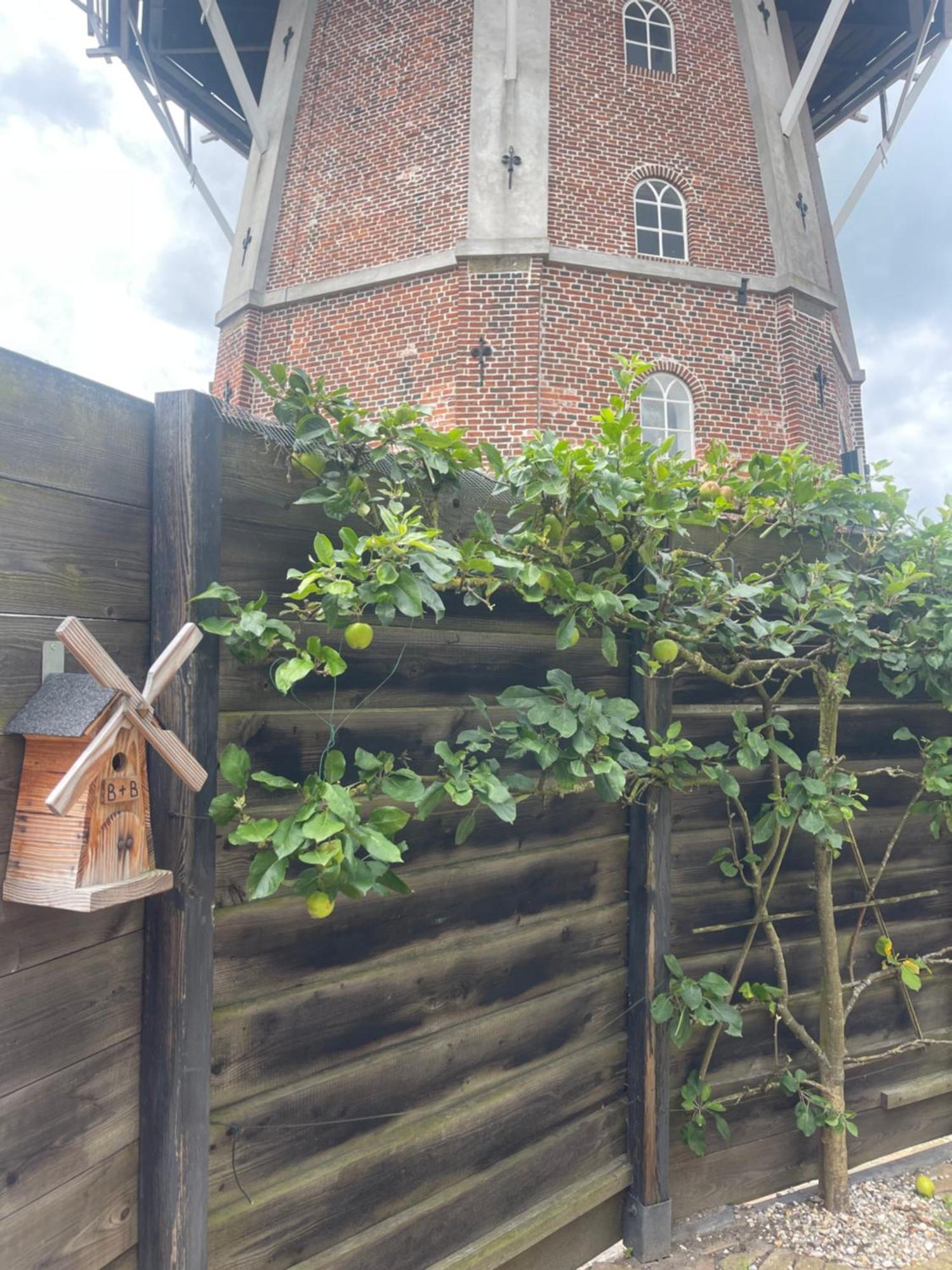 B&B Het Molenhuisje Winschoten - Met Woonkamer & Keuken Exterior photo